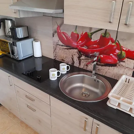 Honey Apartment Moravske Toplice Extérieur photo